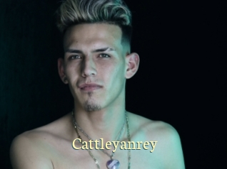 cattleyanrey Porn str8