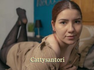 cattysantori Porn str8
