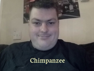 Chimpanzee
