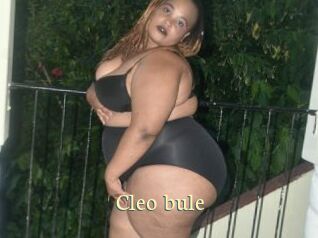 Cleo_bule