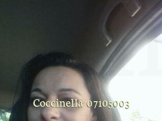 Coccinella-07105003
