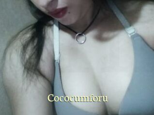 cococumforu Porn str8