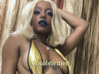 cocolefemee Porn str8