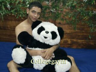 collegegaym Porn str8
