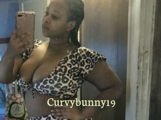 Curvybunny19