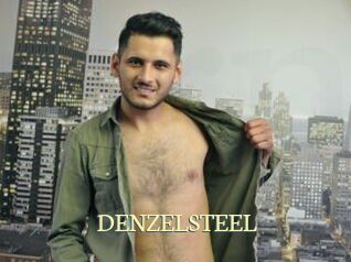 DENZELSTEEL