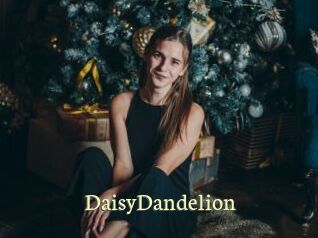 DaisyDandelion