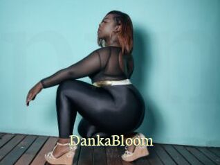 DankaBloom Porn str8
