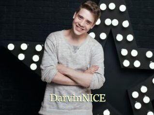 DarvinNICE Porn str8