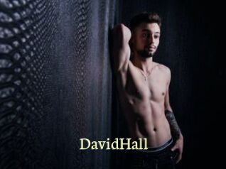 DavidHall Porn str8