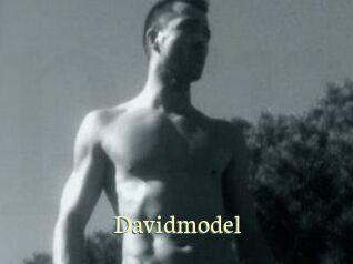 Davidmodel