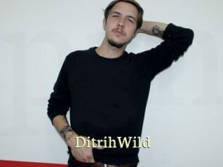 DitrihWild