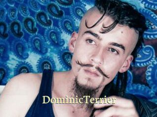 DominicTerrier Porn str8