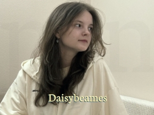 Daisybeames