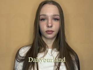 Daisyburland