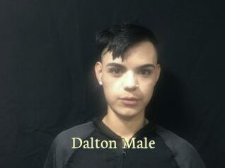 Dalton_Male