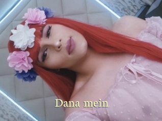 Dana_mein