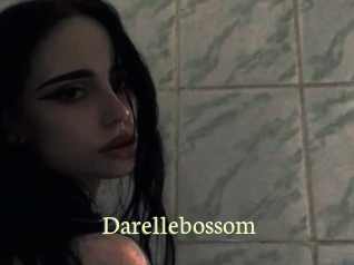 Darellebossom