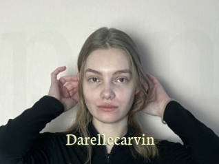 darellecarvin Porn str8