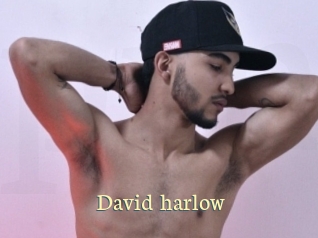 David_harlow