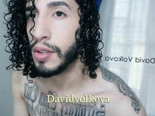 davidvolkova Porn str8