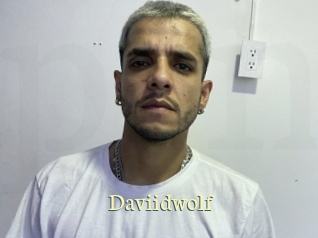 Daviidwolf