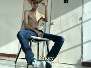 Dikey