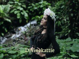 Divinekattie