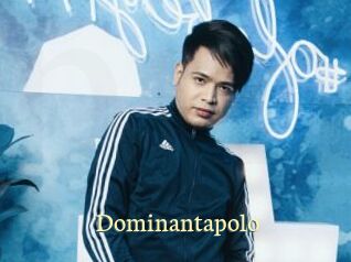 Dominantapolo