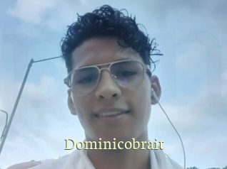 dominicobrait Porn str8