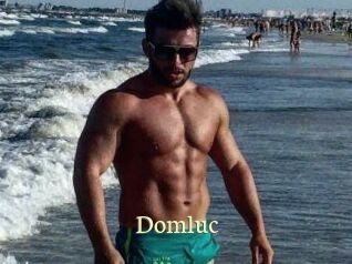 Domluc