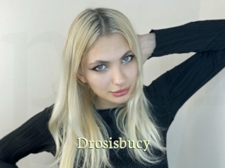 Drosisbucy