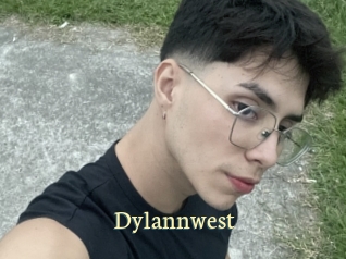 dylannwest Porn str8