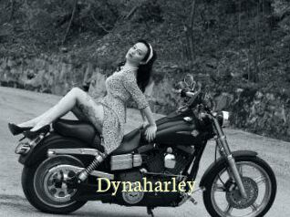 Dynaharley