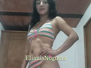 ElianisNoguera
