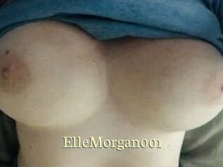 ElleMorgan001 Porn str8