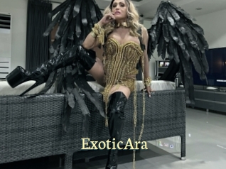 ExoticAra Porn str8