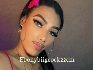 ebonybiigcock22cm Porn str8