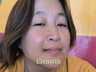 Elenatin