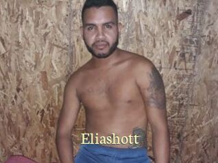 Eliashott