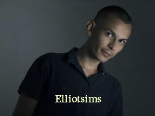 elliotsims Porn str8