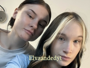 Elvaandedyt