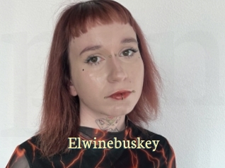 Elwinebuskey
