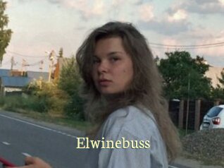 Elwinebuss