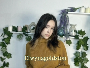 Elwynagoldston