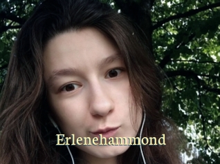 Erlenehammond