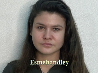 Esmehandley