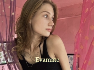 Evamate