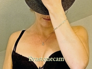 Evastonecam