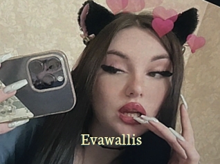 Evawallis